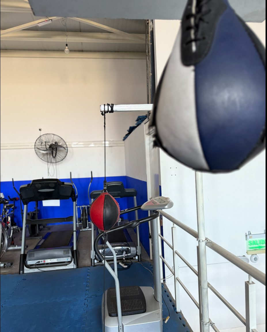 Gimnasio Caverna Gym